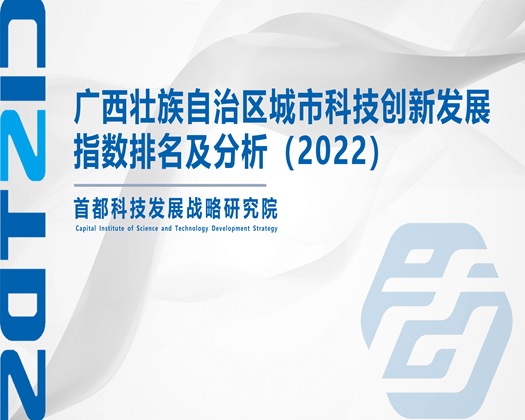 操粉嫩逼逼【成果发布】广西壮族自治区城市科技创新发展指数排名及分析（2022）